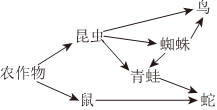 菁優(yōu)網(wǎng)