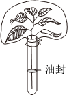 菁優(yōu)網