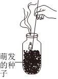 菁優(yōu)網