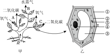 菁優(yōu)網(wǎng)