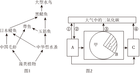 菁優(yōu)網