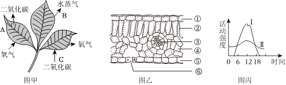 菁優(yōu)網(wǎng)