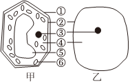 菁優(yōu)網(wǎng)