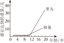 菁優(yōu)網