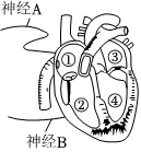 菁優(yōu)網(wǎng)