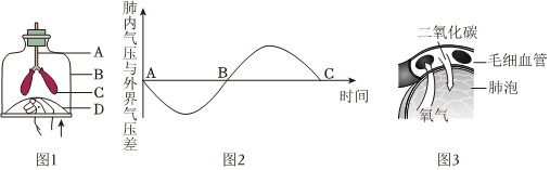 菁優(yōu)網