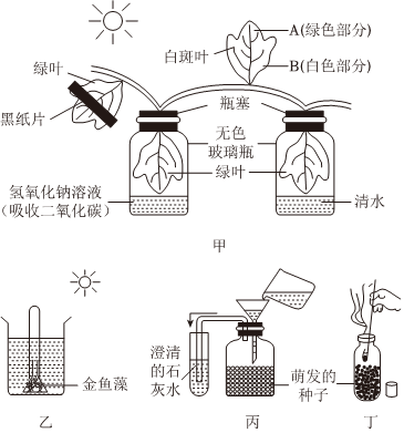 菁優(yōu)網(wǎng)