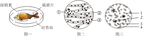 菁優(yōu)網