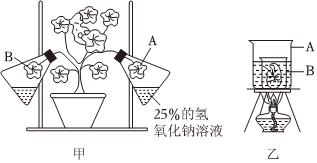 菁優(yōu)網(wǎng)