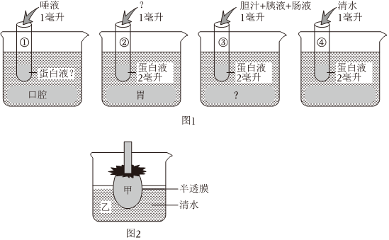 菁優(yōu)網