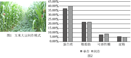 菁優(yōu)網