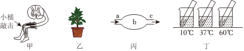 菁優(yōu)網