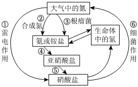 菁優(yōu)網(wǎng)