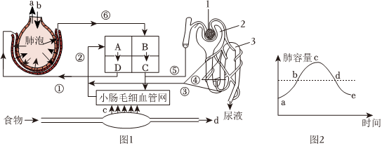 菁優(yōu)網(wǎng)