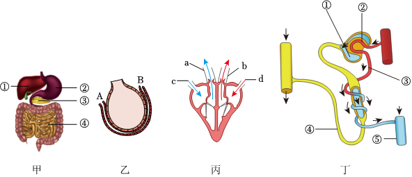 菁優(yōu)網(wǎng)