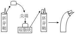 菁優(yōu)網