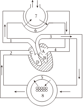 菁優(yōu)網(wǎng)