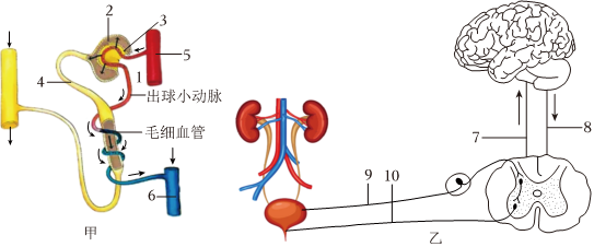 菁優(yōu)網(wǎng)