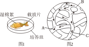 菁優(yōu)網