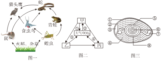 菁優(yōu)網(wǎng)