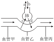 菁優(yōu)網(wǎng)