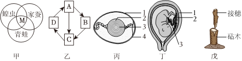 菁優(yōu)網