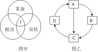 菁優(yōu)網(wǎng)