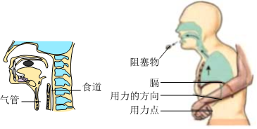 菁優(yōu)網