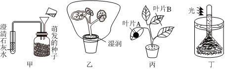 菁優(yōu)網(wǎng)