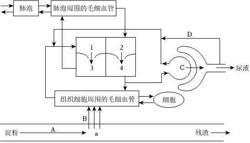 菁優(yōu)網(wǎng)