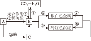 菁優(yōu)網(wǎng)