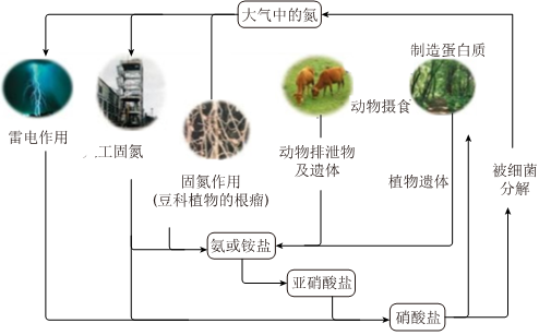 菁優(yōu)網(wǎng)