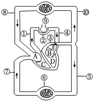 菁優(yōu)網(wǎng)