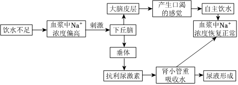 菁優(yōu)網