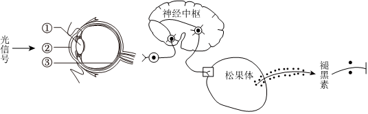 菁優(yōu)網