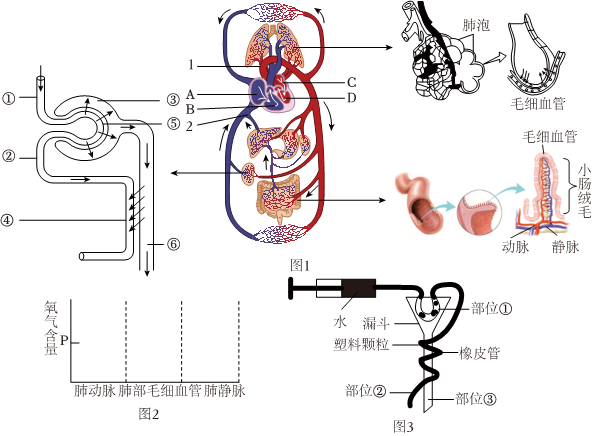 菁優(yōu)網(wǎng)