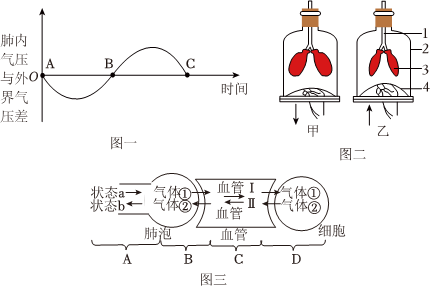 菁優(yōu)網