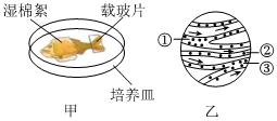 菁優(yōu)網