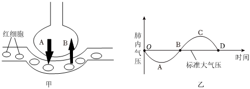 菁優(yōu)網(wǎng)