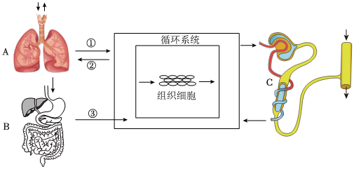 菁優(yōu)網(wǎng)