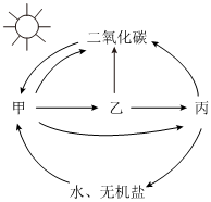 菁優(yōu)網(wǎng)