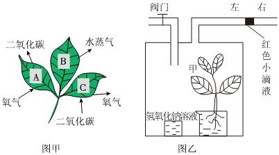 菁優(yōu)網(wǎng)