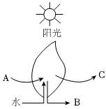 菁優(yōu)網(wǎng)