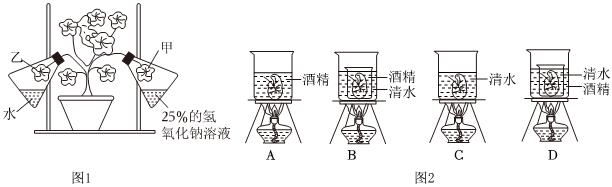 菁優(yōu)網(wǎng)