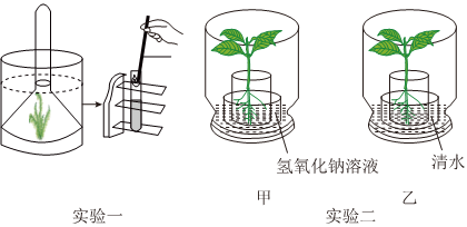 菁優(yōu)網(wǎng)