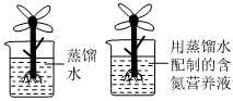 菁優(yōu)網(wǎng)