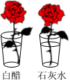 菁優(yōu)網