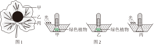 菁優(yōu)網(wǎng)