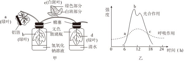 菁優(yōu)網(wǎng)