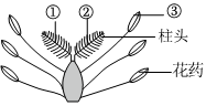 菁優(yōu)網(wǎng)